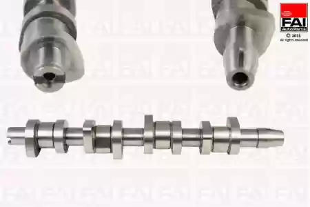 BREGASTA 1.9 TDI -2010 FAI, 038109101R, C248C