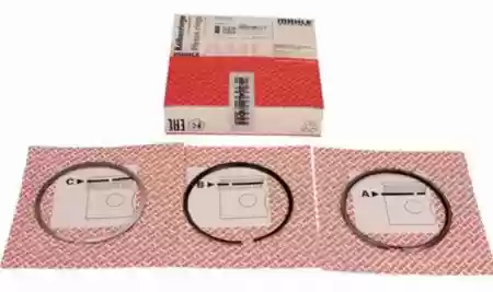 KARIKE VW 1.6 TD 77,01 I SPECIJALA MAHLE, 068198155C, 02954N1