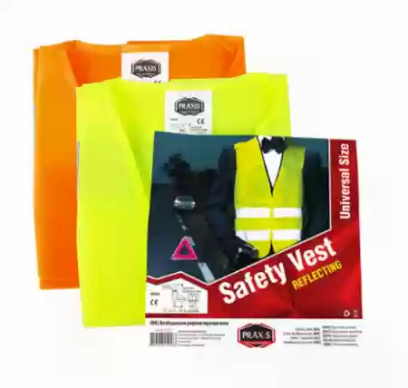 PRSLUK SIGURNOSNI PRAXIS, 52257,