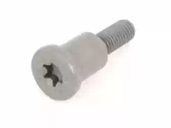SRAF, VIJAK KLIZACA LANCA BMW ORIGINAL, 11317509782,  